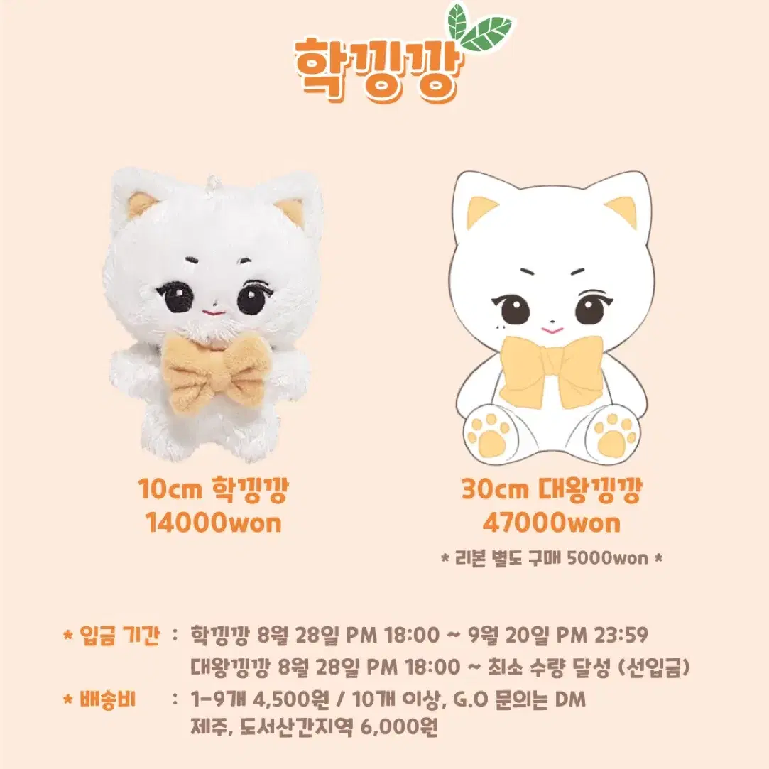 더보이즈 주학년 인형, 굿즈사요