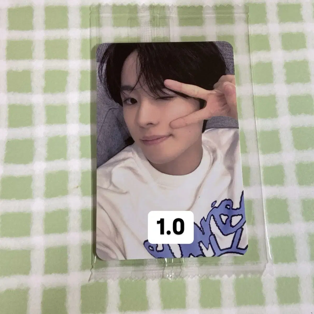 nct wish nct wish steady sion riku yuu shijae healing sakuya photocard wts wts