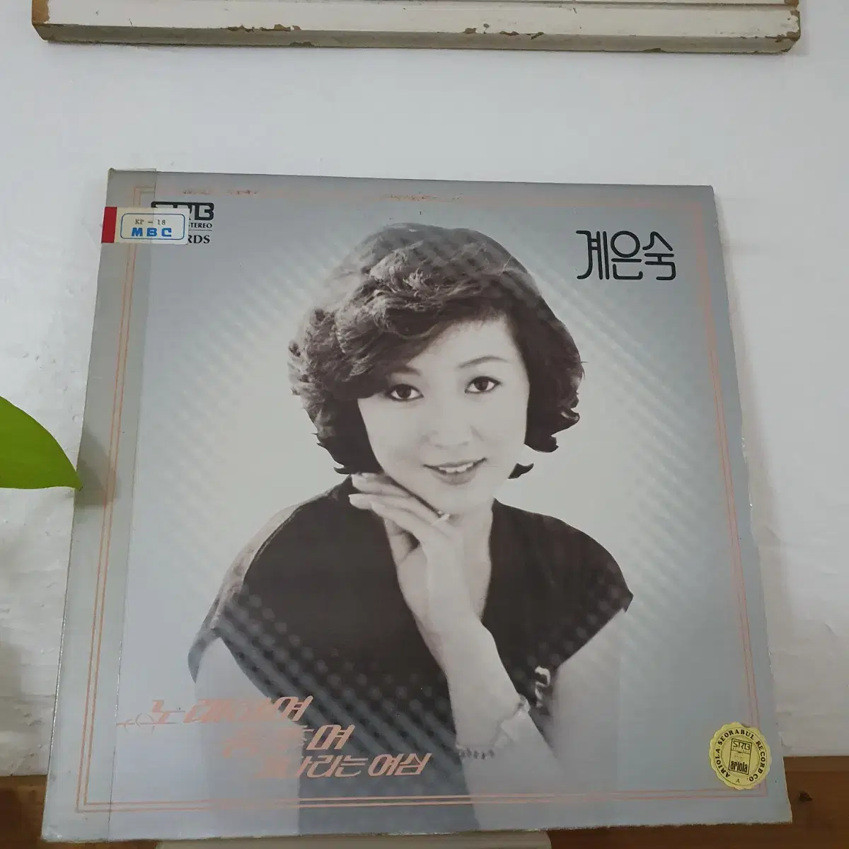 계은숙 LP 1980  노래하며춤추며 기다리는여심