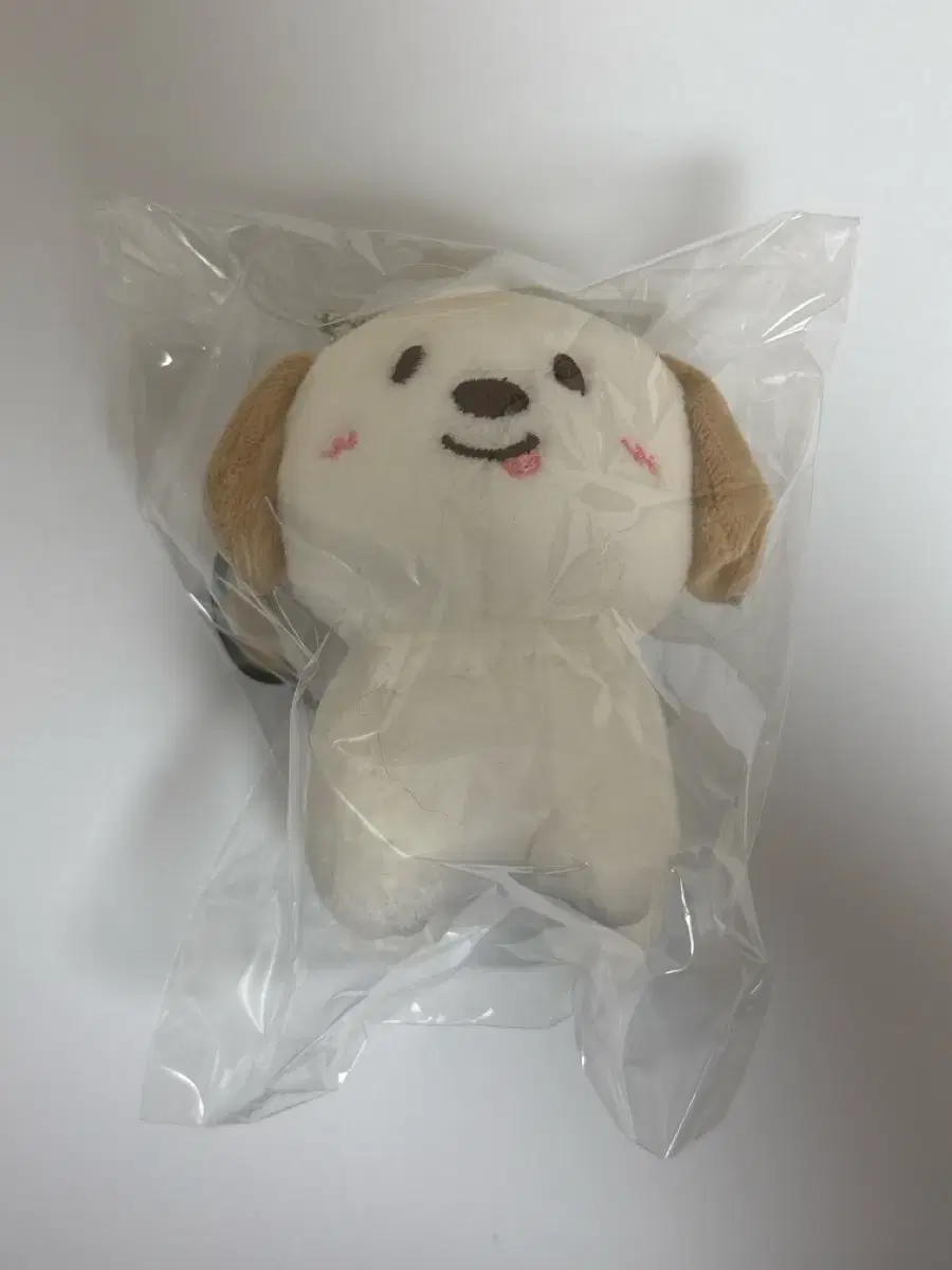 (Unsealed) riize chanyoung 10cm doll Menglong wts Risein doll Chanyoung doll