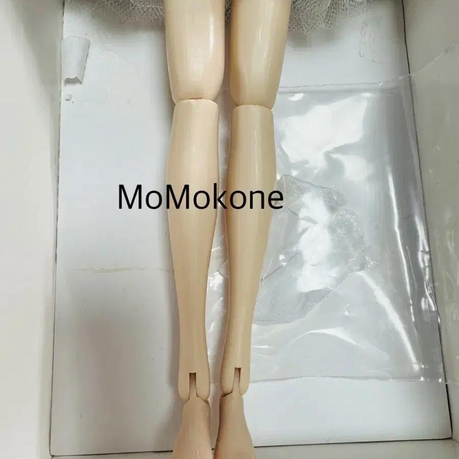 모모꼬 CCS 17SS momoko