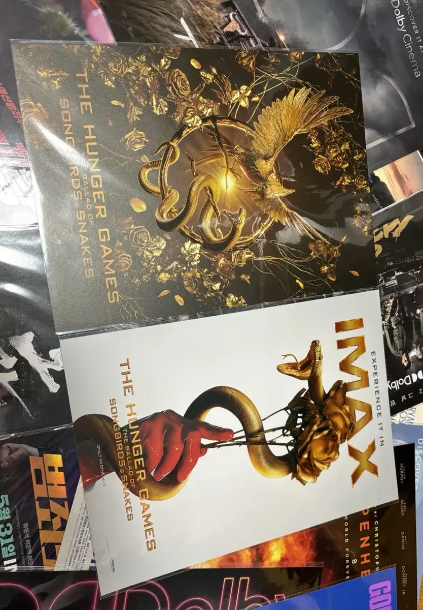 2 Hunger Games IMAX Movie Posters