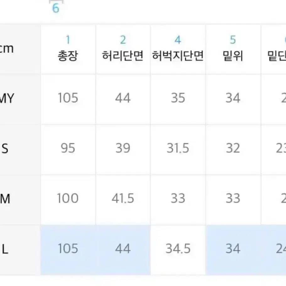 크리틱 카고팬츠 L