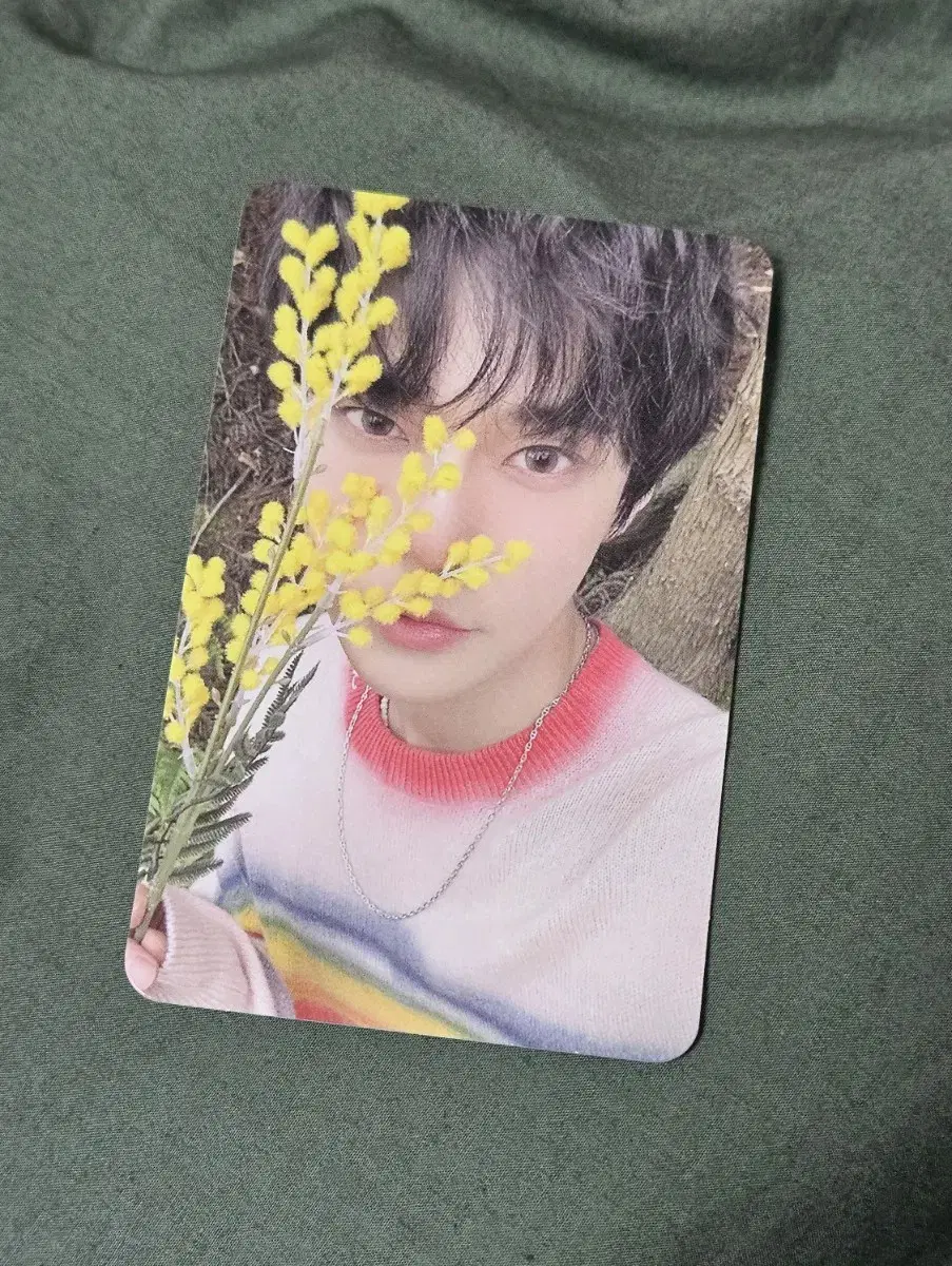 Doyoung's foam photocard / nct album lightstick