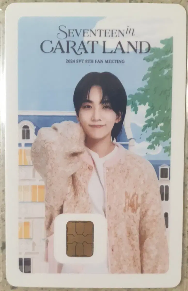 Jeonghan Namane Card WTS