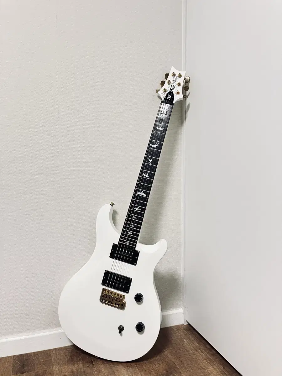 PRS SE 24 Dave Navarro 데이브 나바로 시그니처 일렉기타