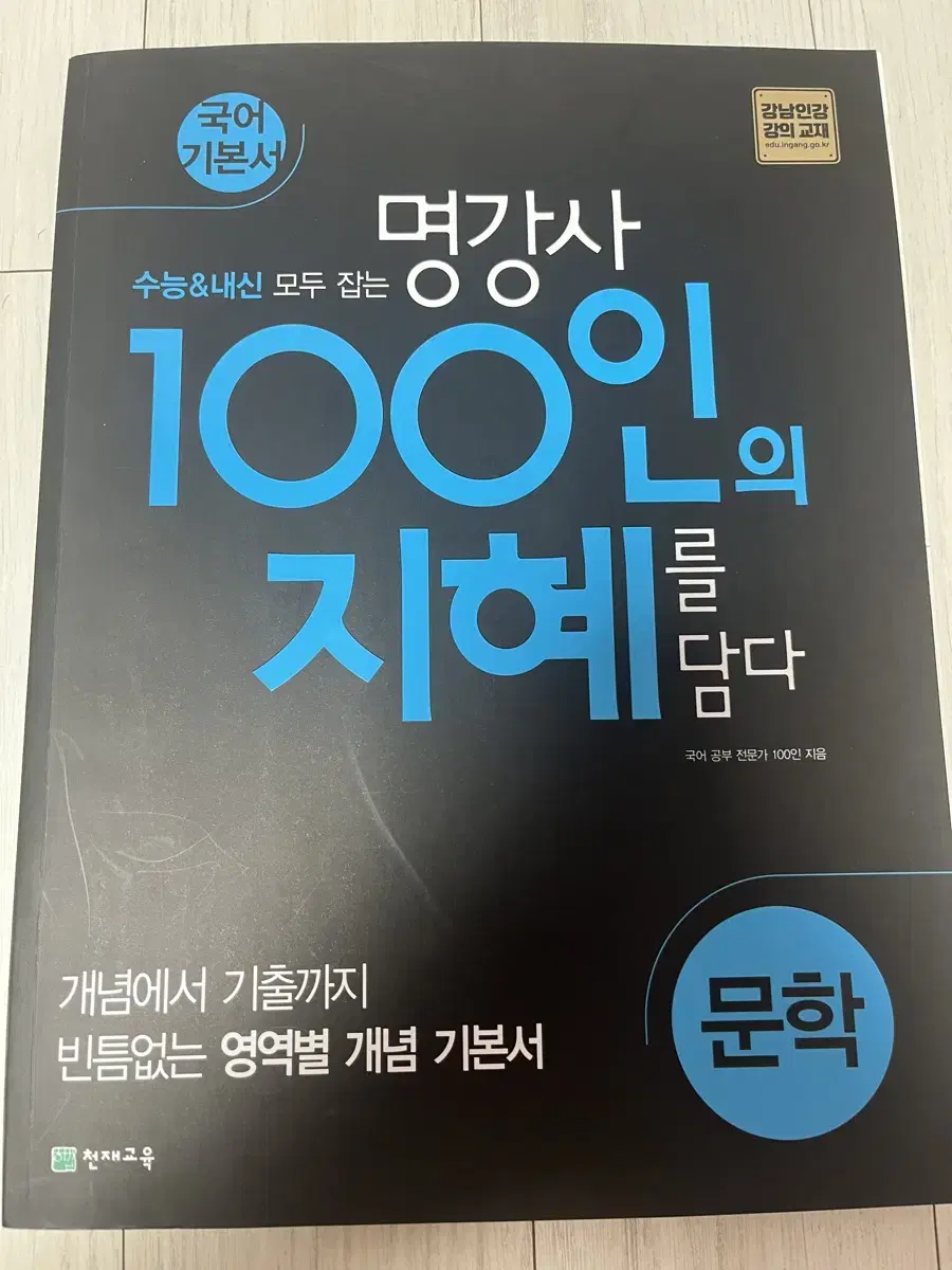 국어 기본서 100인의 지혜 문학 판매