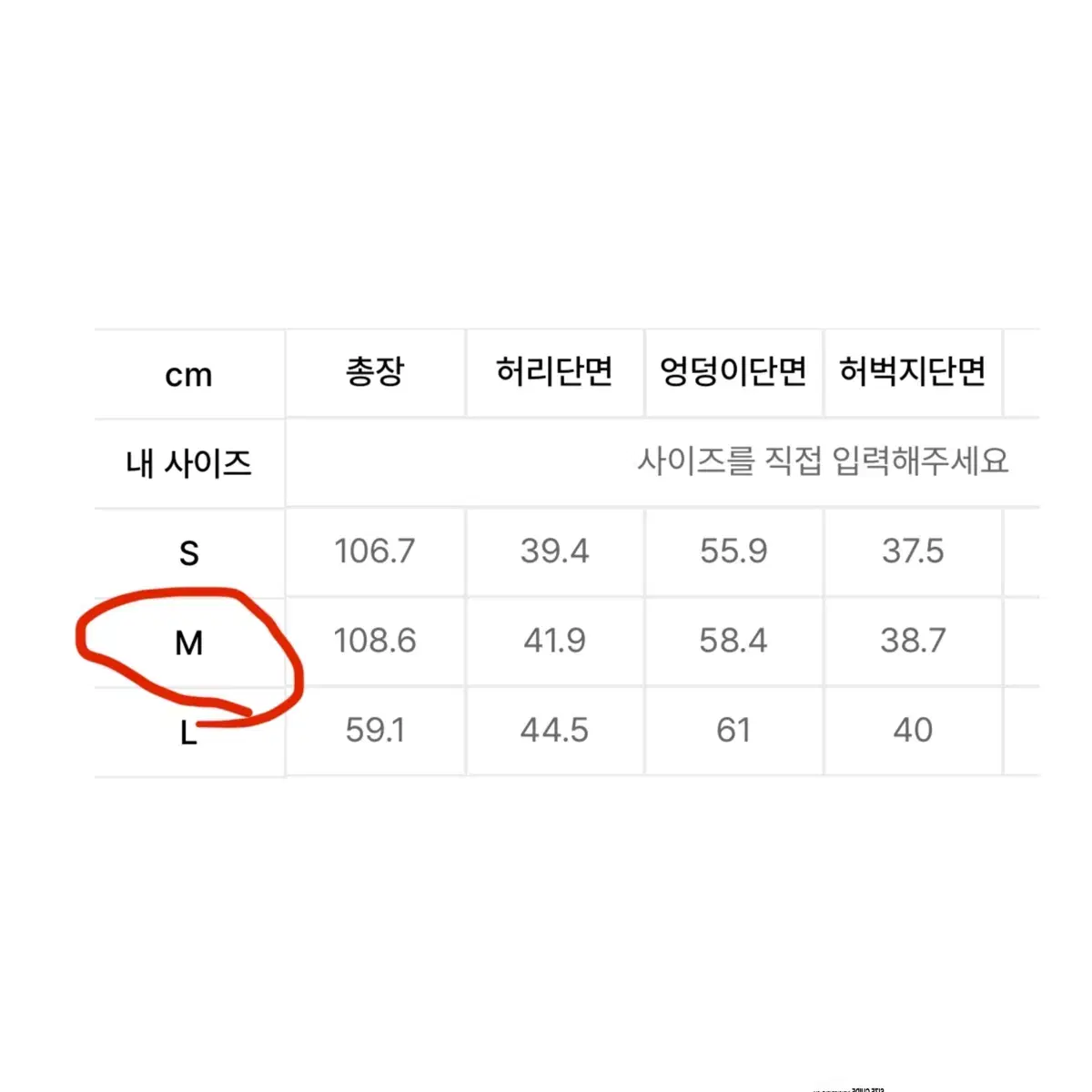 [M]빅유니온 카펜터 팬츠