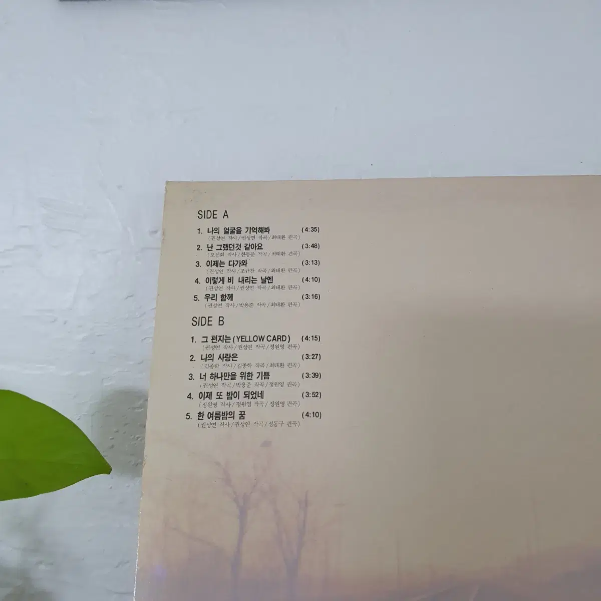 권성연 LP  1991  한여름밤의꿈 (90 MBC강변가요제 대상곡)수록