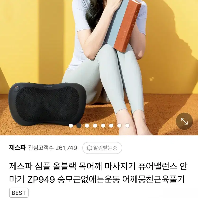 제스파 안마기