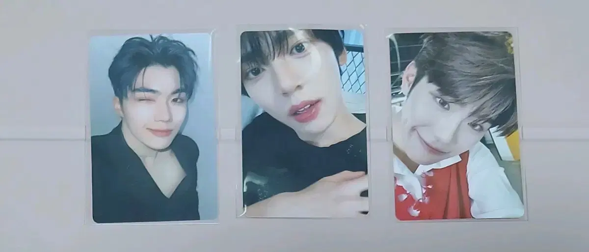 Bulk) If you are a brewer niche, photocard wts