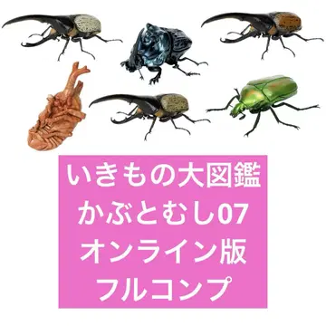 생물대도감 무당벌레 07 온라인판
