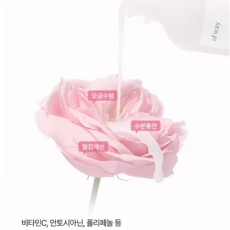 (새상품)오브웨이 로즈 브라이트닝 에센스 50ml