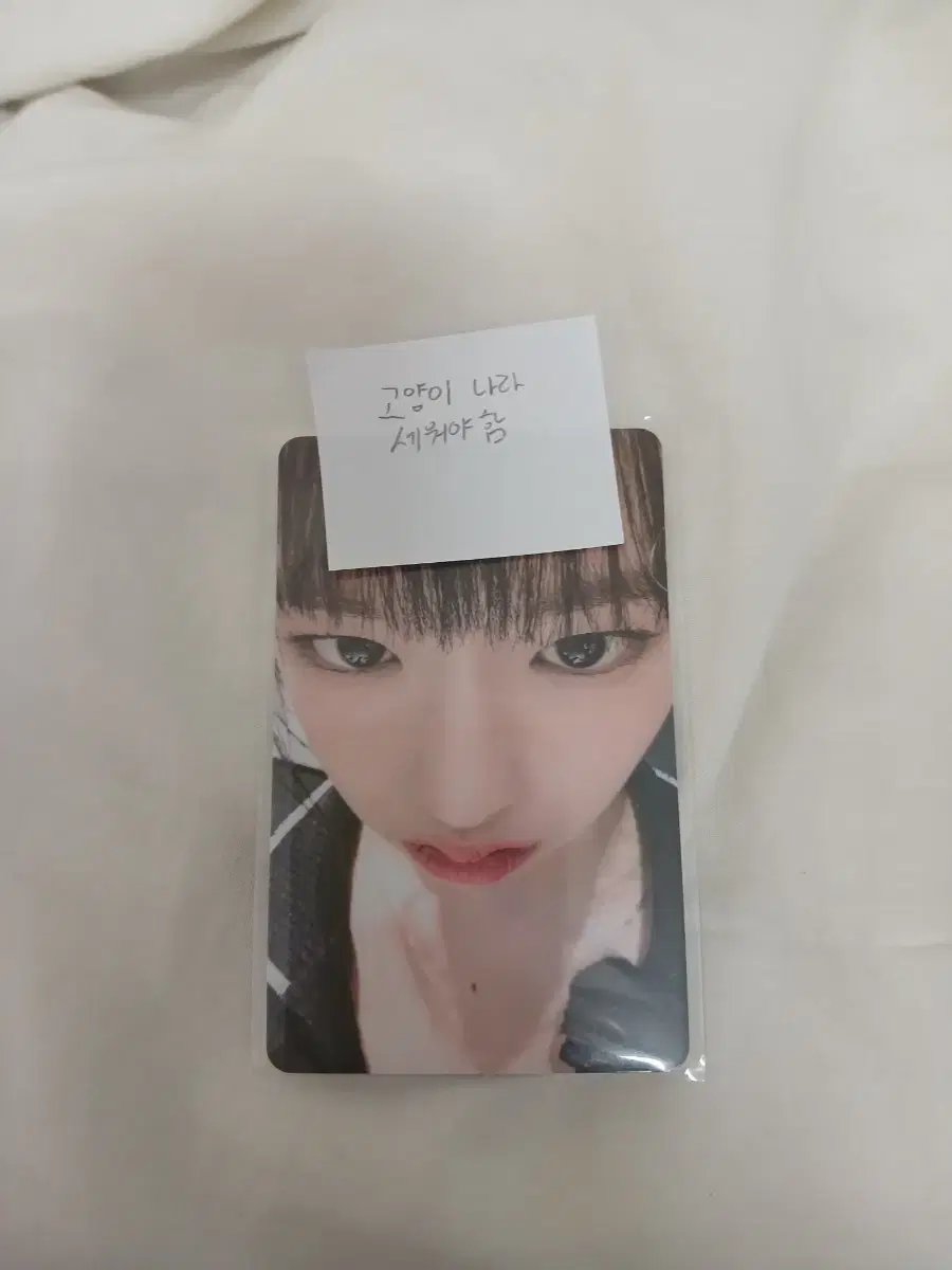 (급처) yujin yujin is selling photocard 