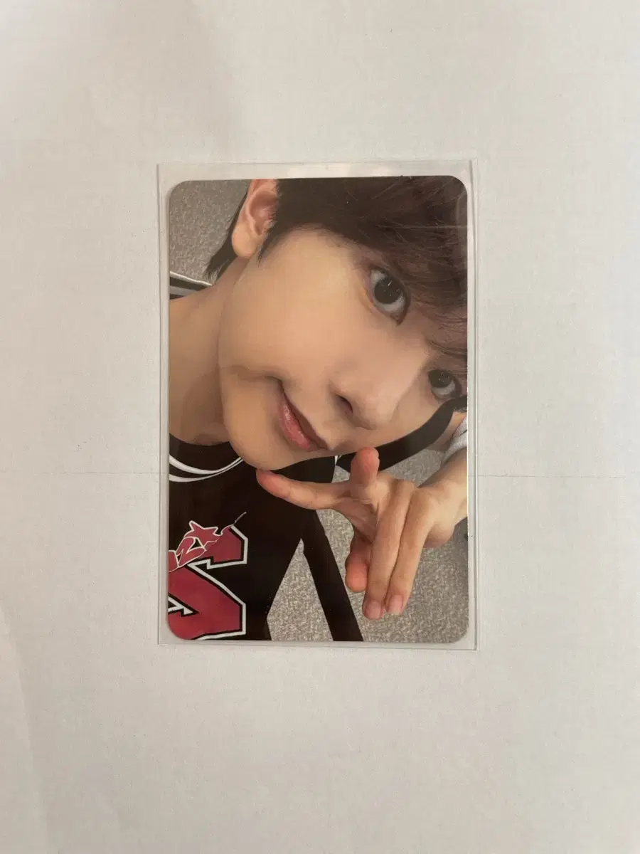 nct wish ryo photocard steady qalver alpo