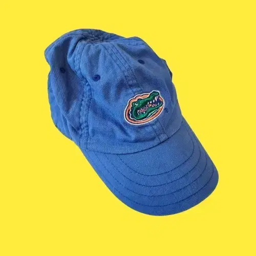 NIKE GATORS CAP