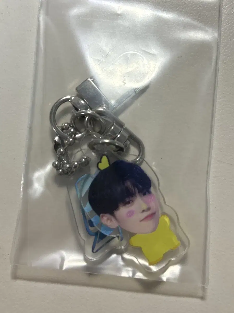 (폭덤)Kim Taerae Keyring