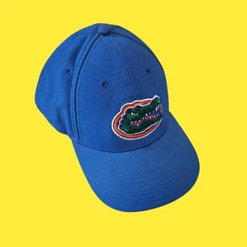 NIKE GATORS CAP