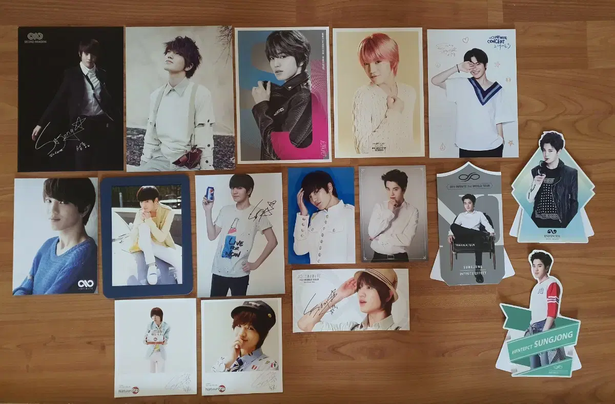 Infinite lee sungjong Concert MD Collection