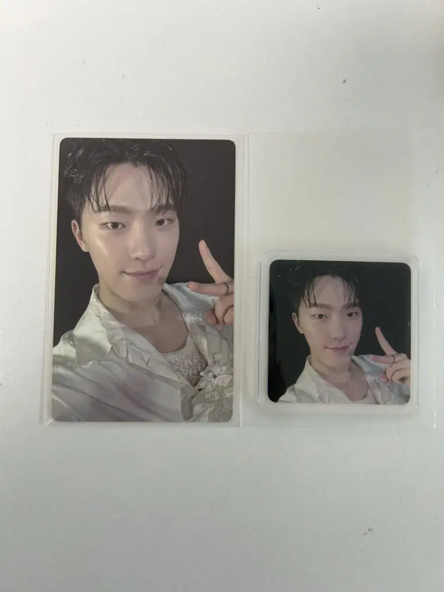 Seventeen dino LFM weverse pre-order benefit Magnetit Magnet photocard WTS