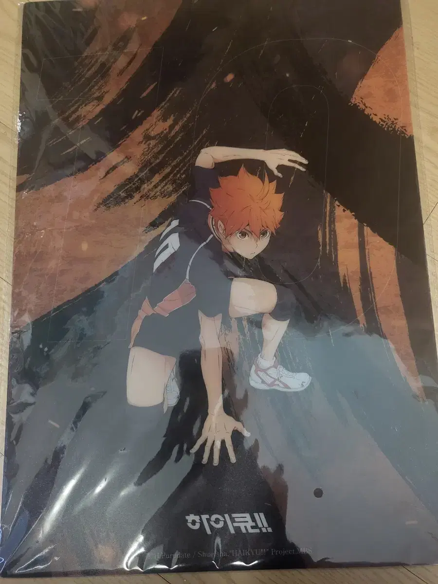 (Bulk)Haikyuu Hinata & Kageyama PP Poster