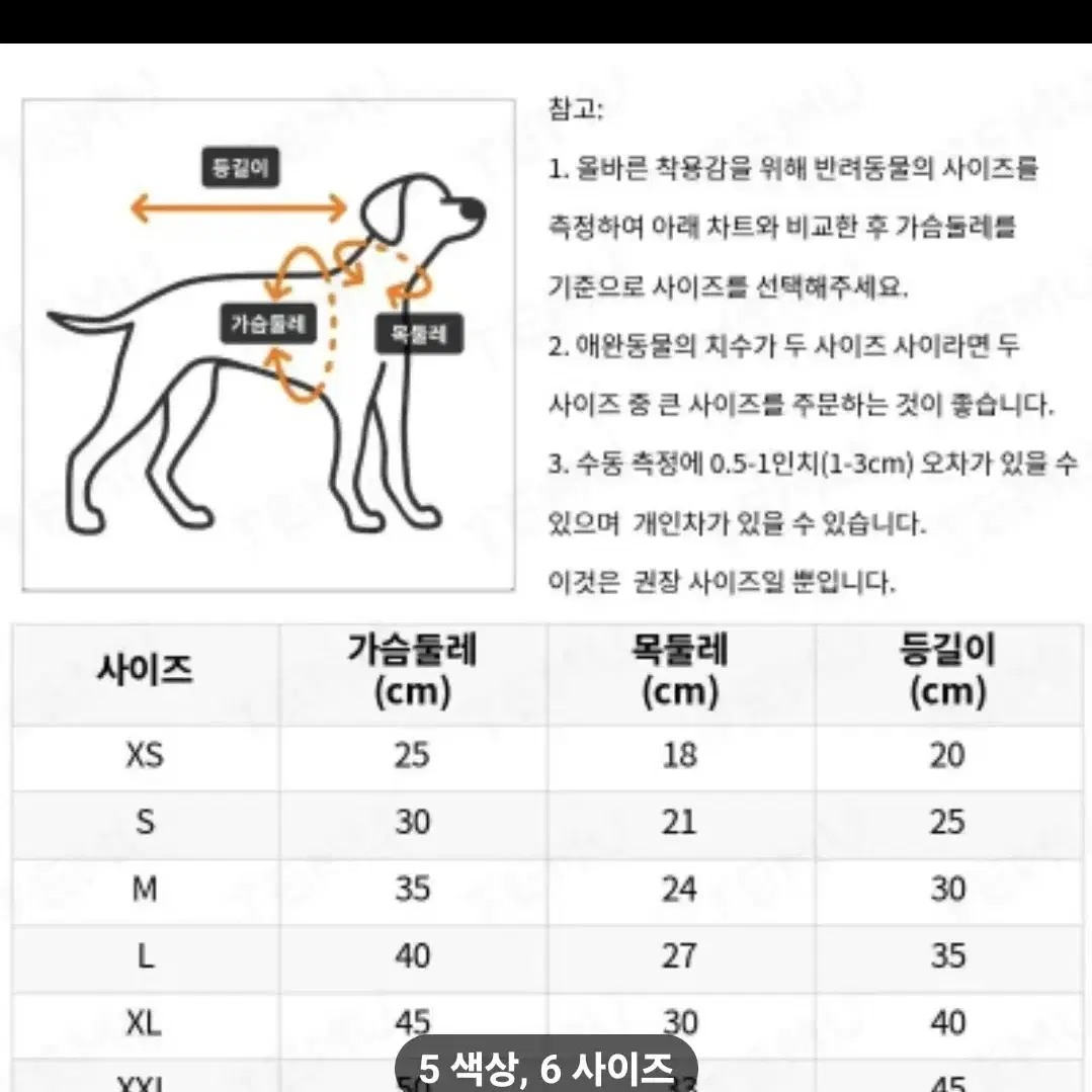 강아지곰도리나시티