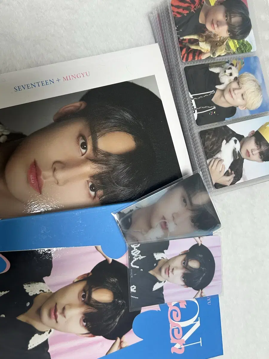 seventeen mingyu full set dikon sell does