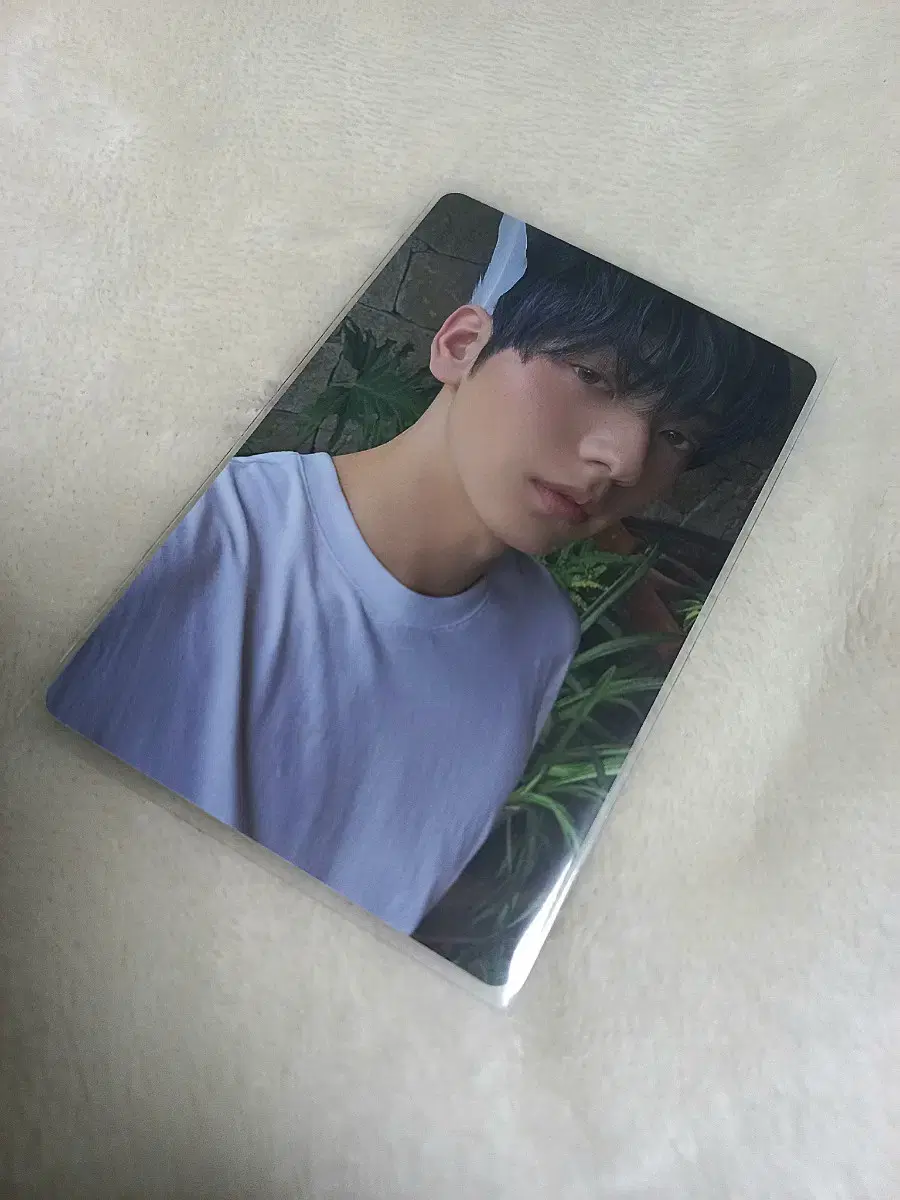 I sell txt Sanctuary Angel version photocard 