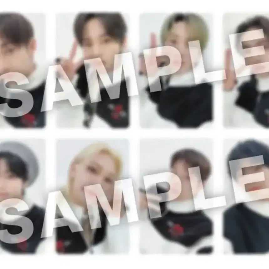 Stray Kids JAPAN Album GIANT 회장한정 도쿄 분철