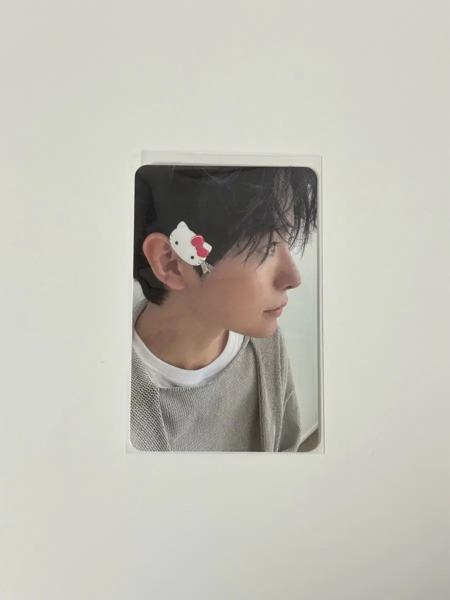 Uushi steady psyche kitty photocard