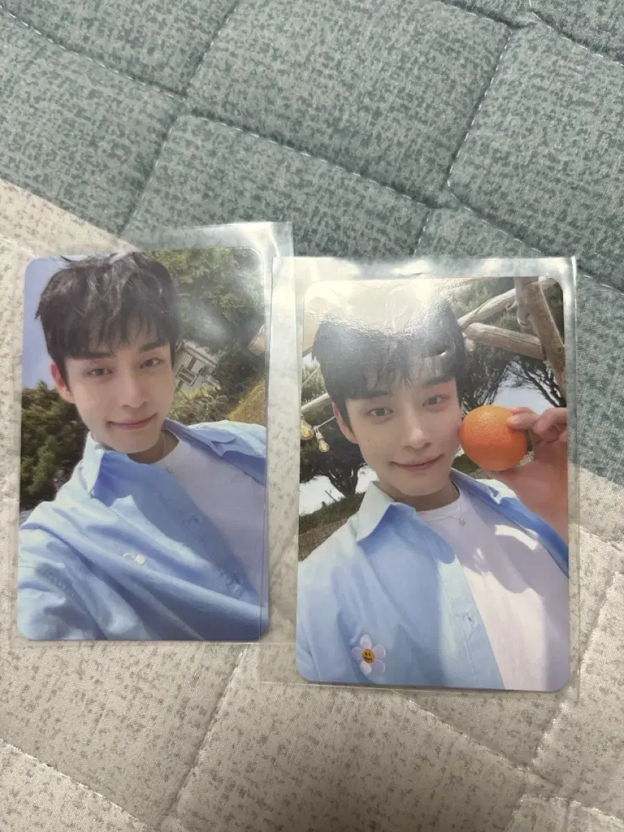 Kim Jiwoong fan club kit photocard Sell it.