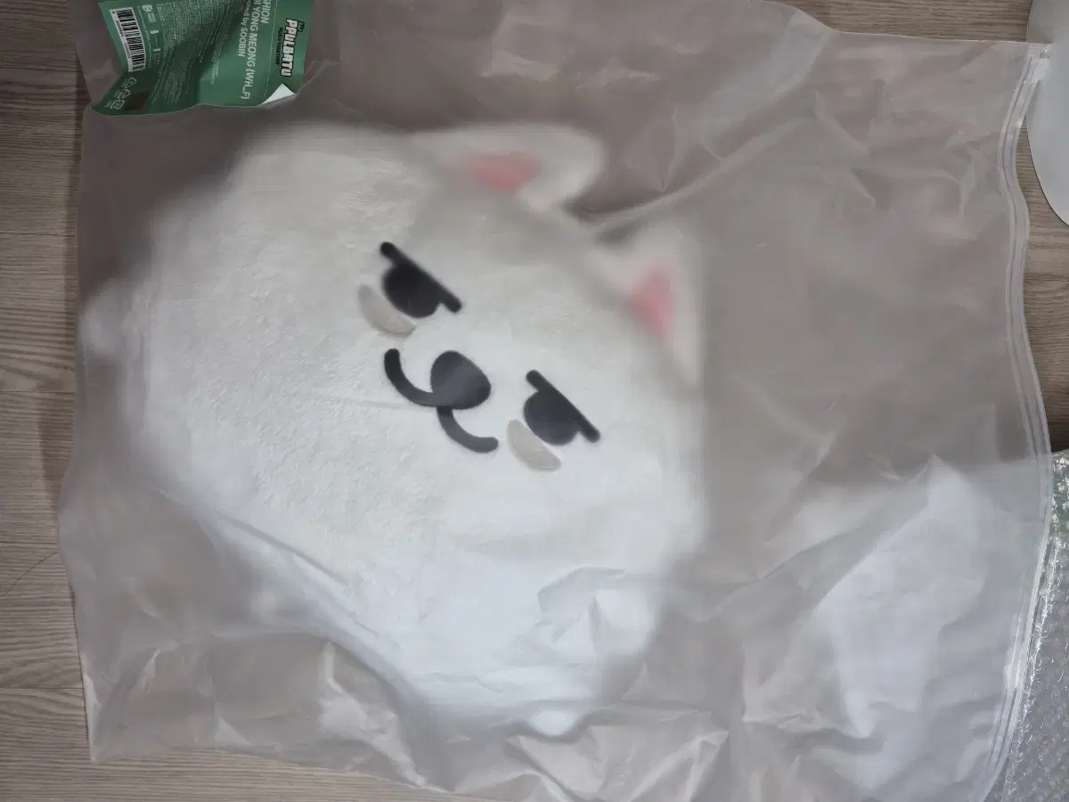 txt Hornbatu Choi Yongmung face cushion wts.