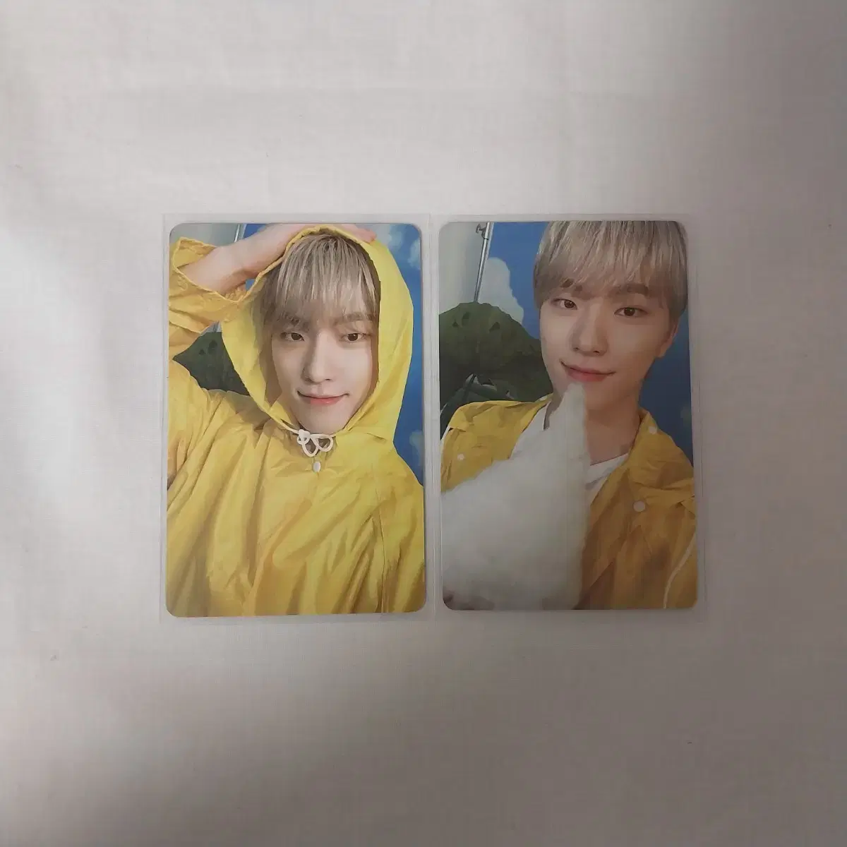 Seventeen Heaven Carat Vahn dino photocard Sells