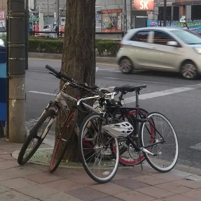 후지 페더 경륜 픽시 자전거 판매/대차 합니다.