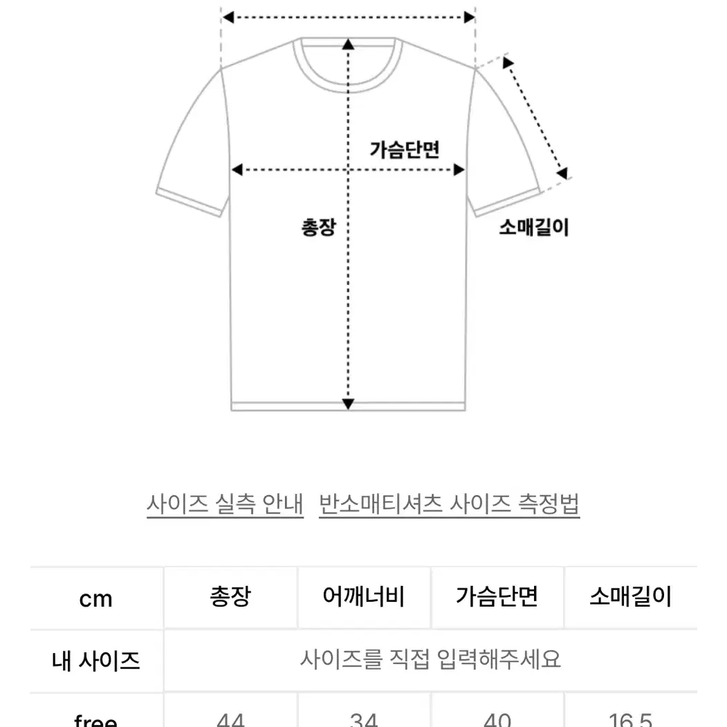 See Through PK Shirt_White 카라크롭티셔츠빈티지