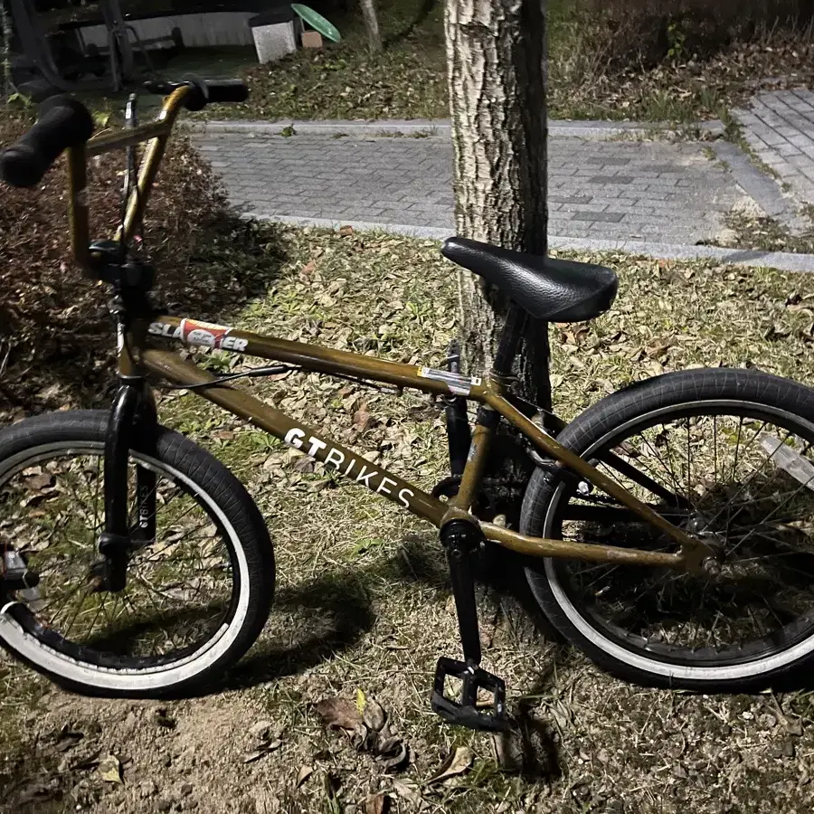 GT bmx 기술용 자전거