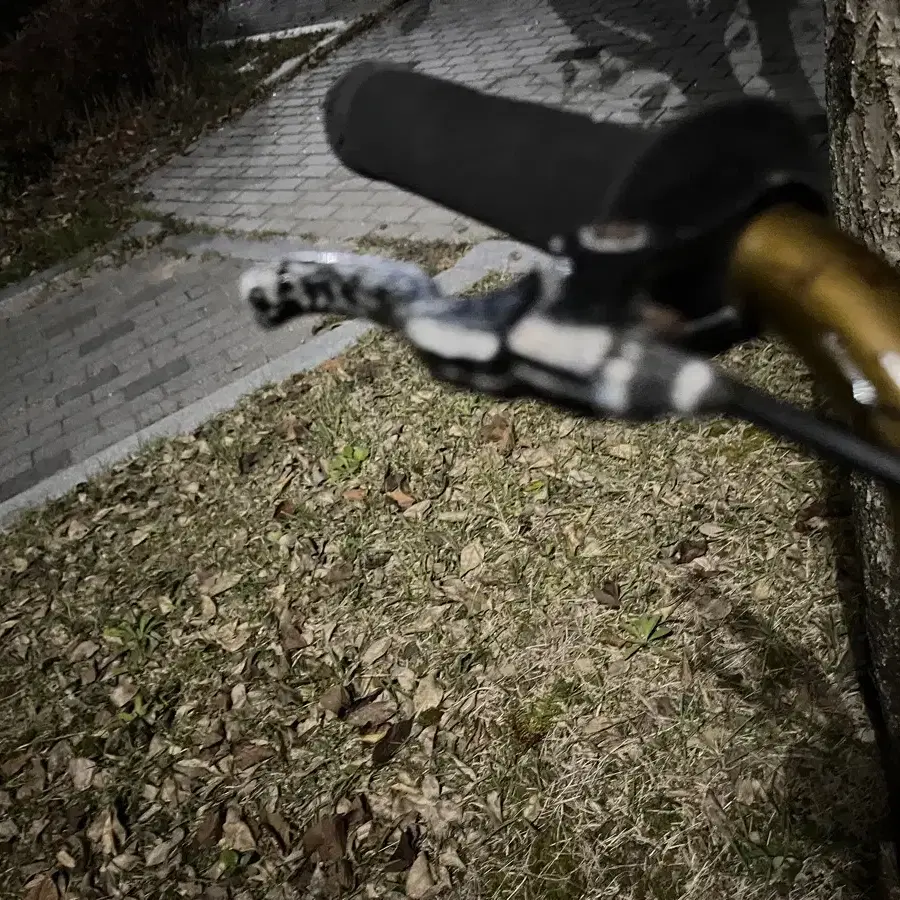 GT bmx 기술용 자전거