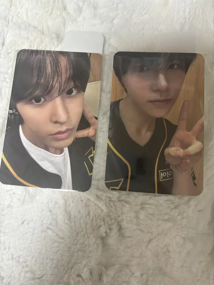 NCT wish riku Jaehee photocard WTS