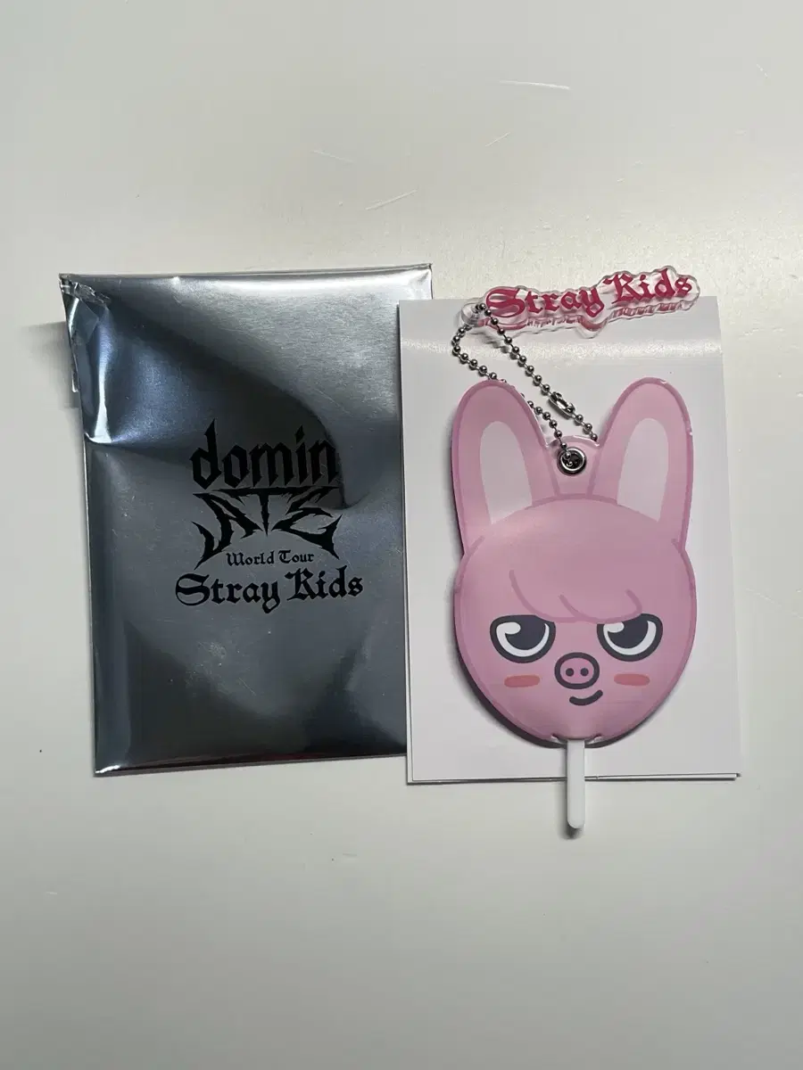 Skz Dominate Japan Concert Piggy wuchiwa Keyring