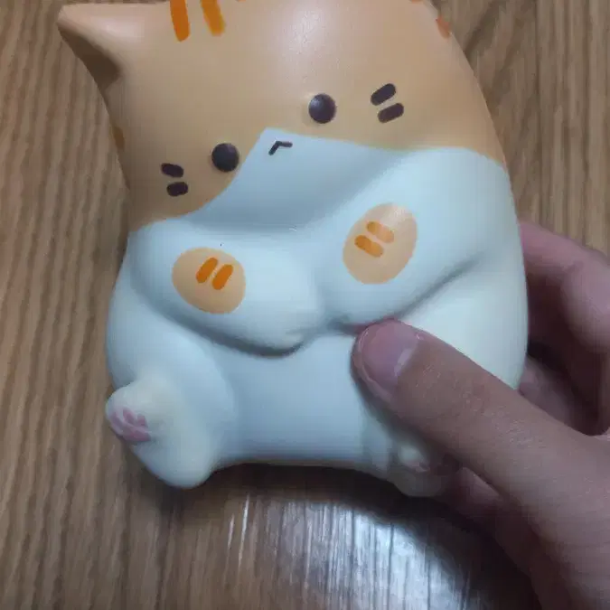 고양이 말랑이