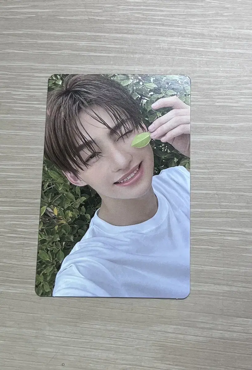 TWS jihoon Summerbeat Photocard