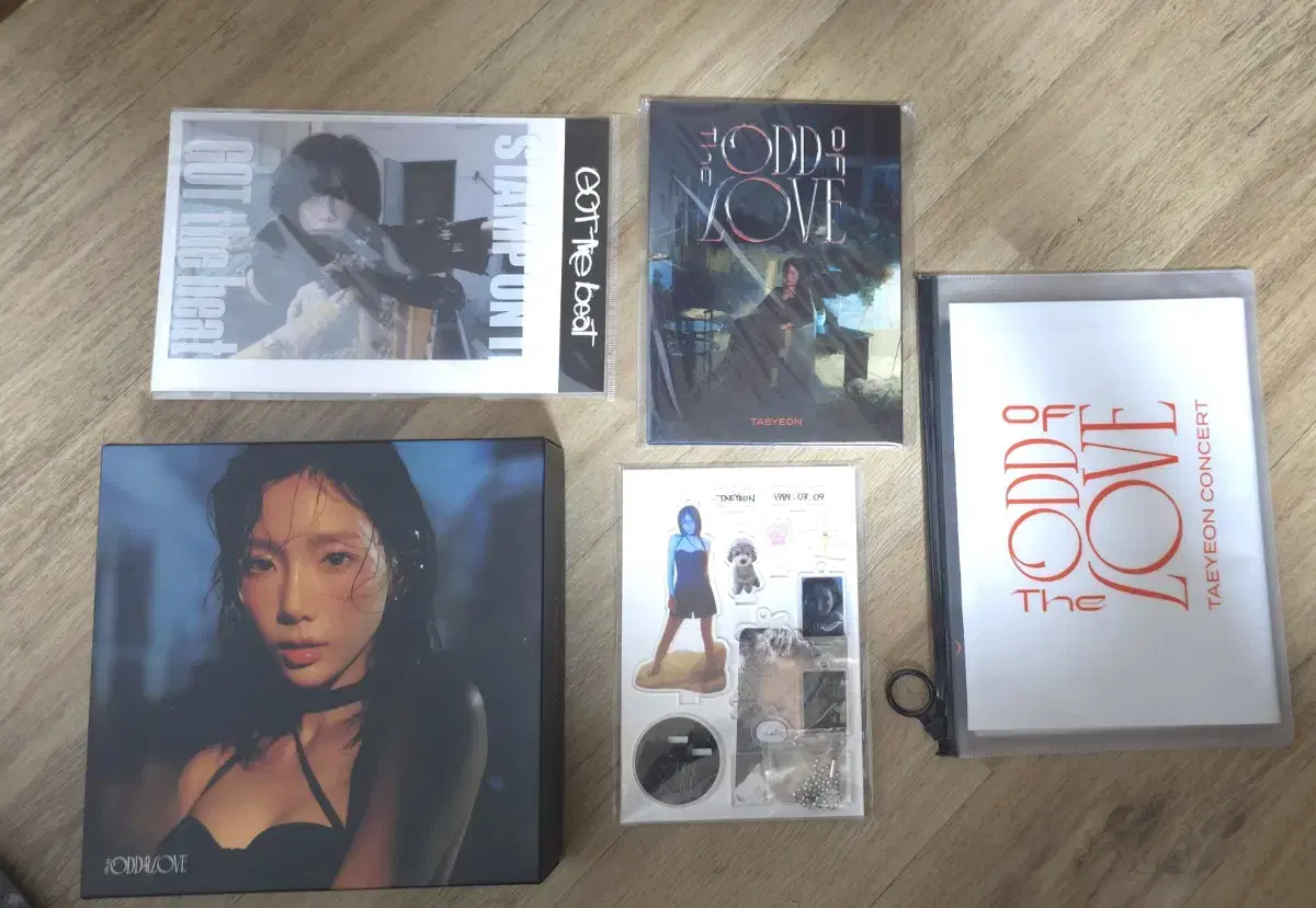 Taeyeon Concert Merchandise