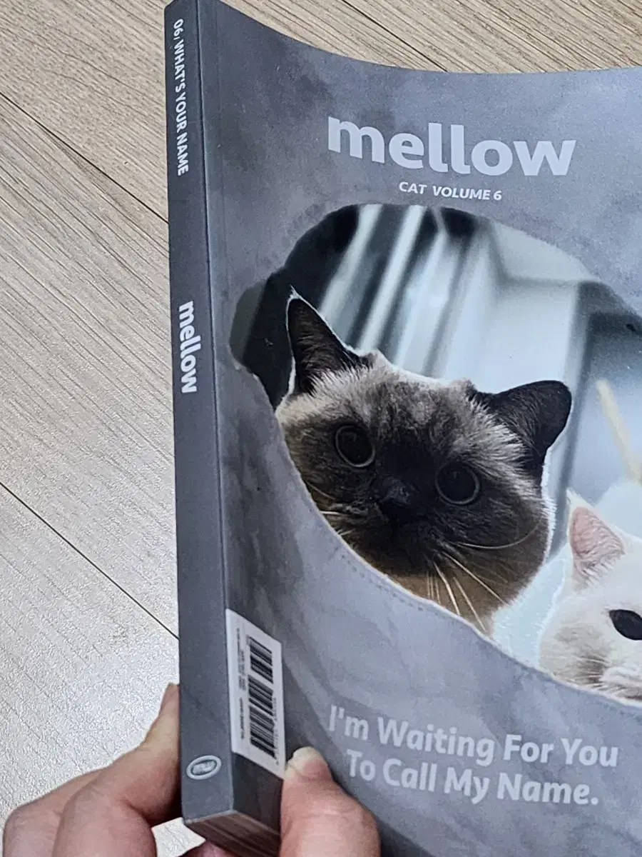 고양이 잡지 mellow 팝니다