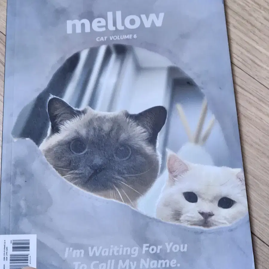 고양이 잡지 mellow 팝니다