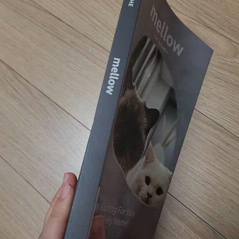 고양이 잡지 mellow 팝니다