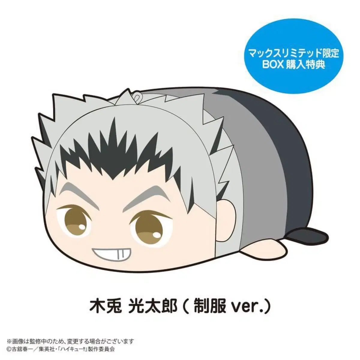 Haikyuu potekoro bokuto pre-order benefit tools wts ice cream fuwa