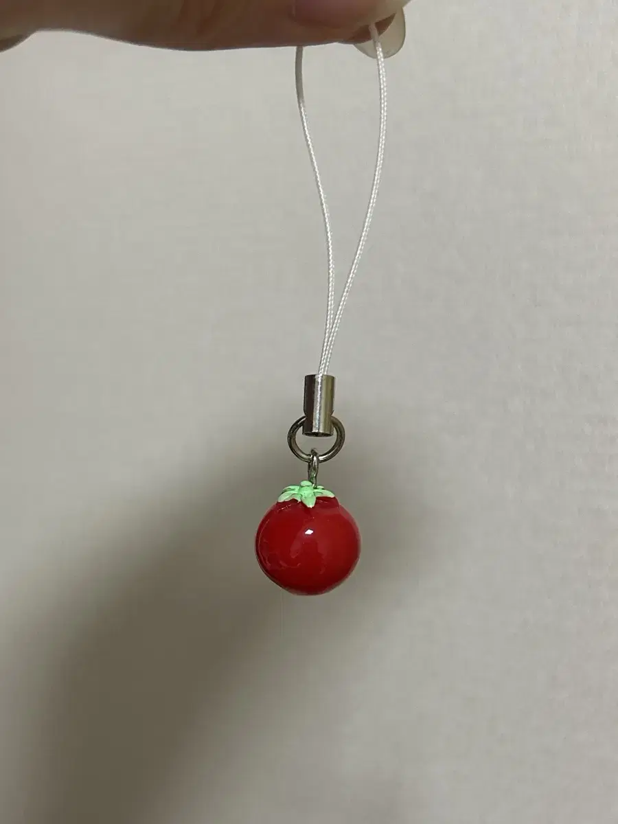 Tomato keyring