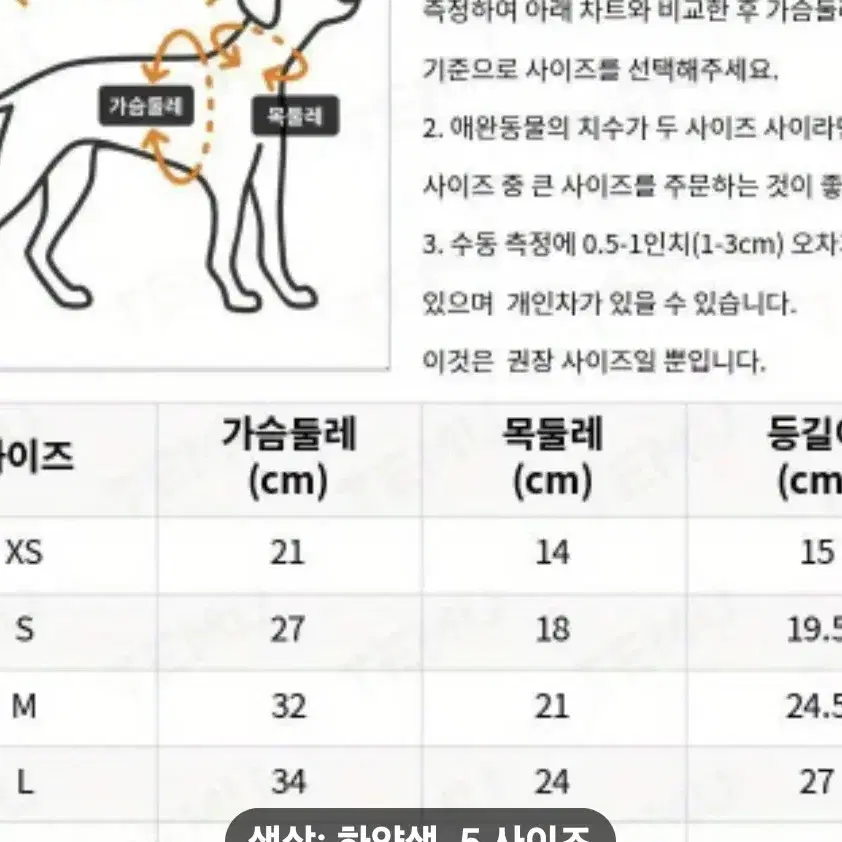 강아지곰돌이치마