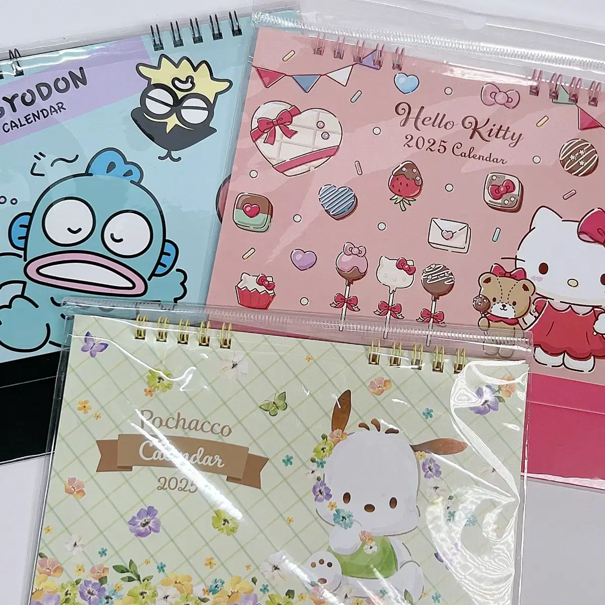 Sanrio 2025 Calendar