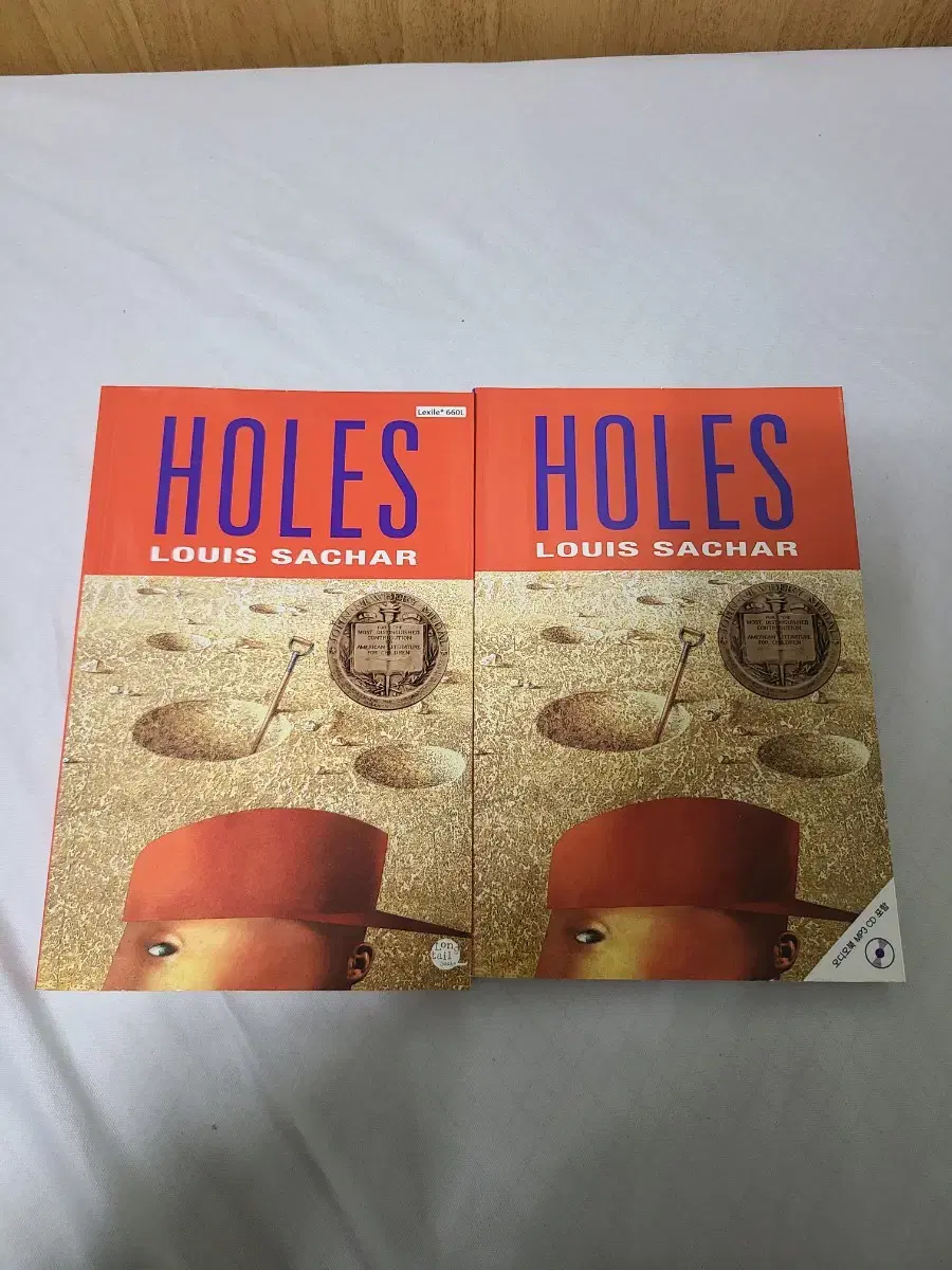 HOLES